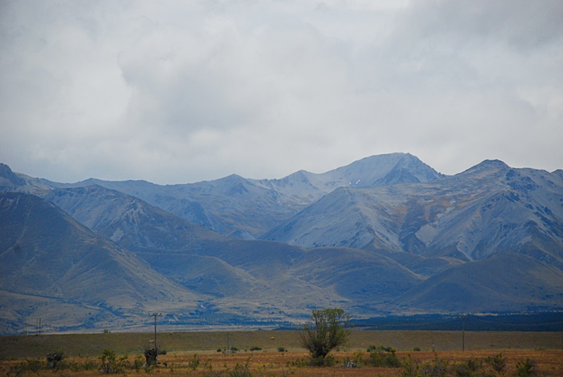 DSC_0995.JPG