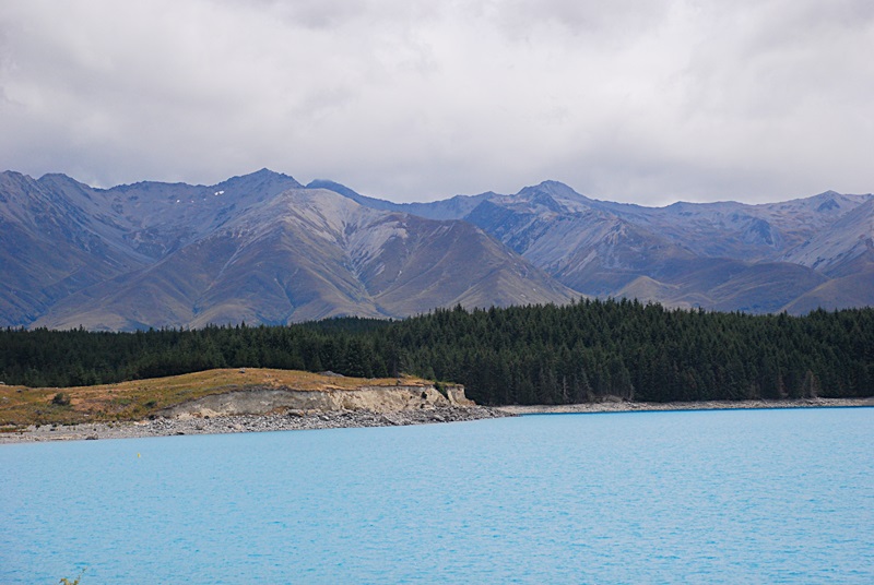 DSC_1007.JPG