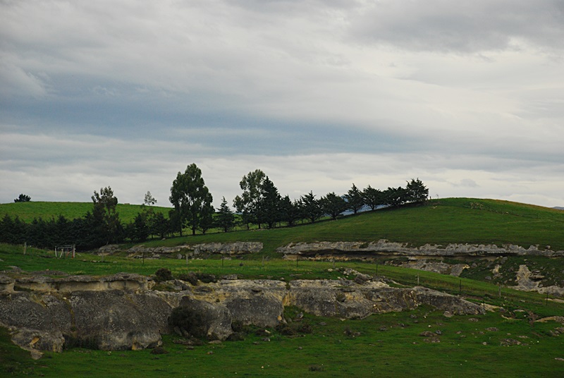 DSC_0105.JPG