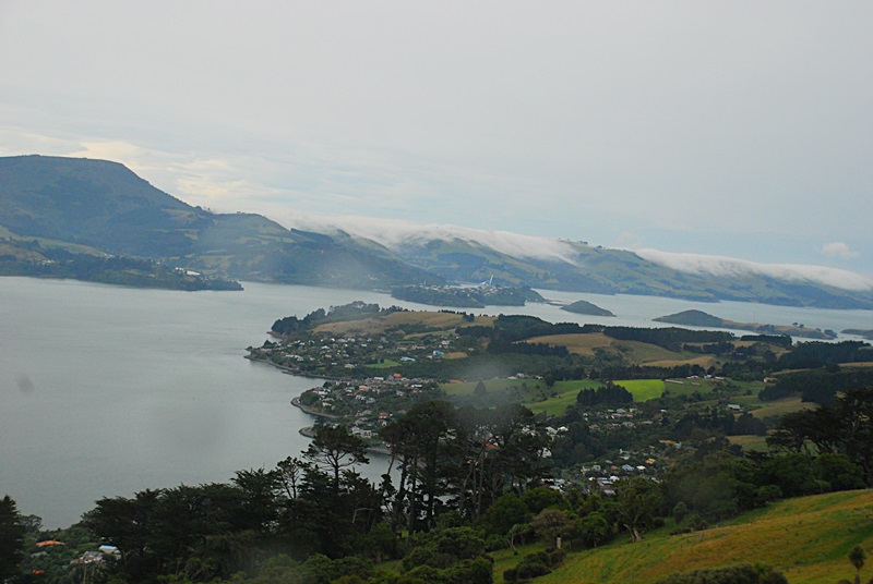DSC_0190.JPG