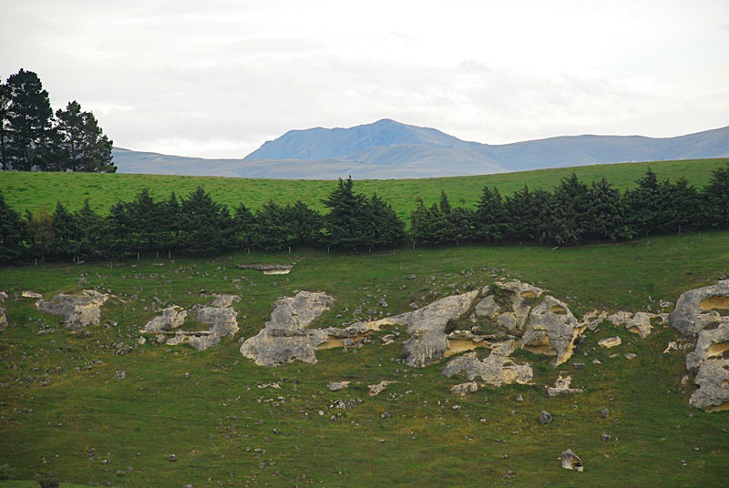 DSC_0107.JPG