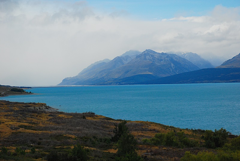 DSC_1010.JPG
