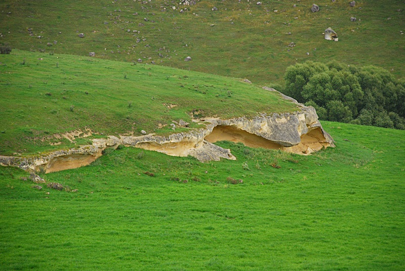 DSC_0112.JPG