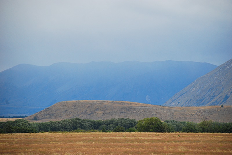 DSC_0999.JPG