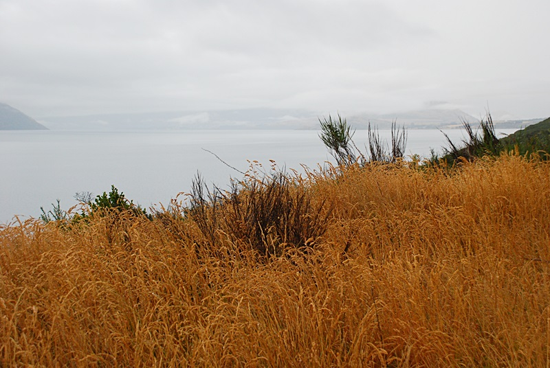 DSC_0963.JPG