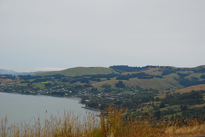 DSC_0188.JPG