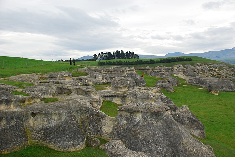 DSC_0076.JPG