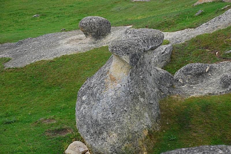 DSC_0097.JPG