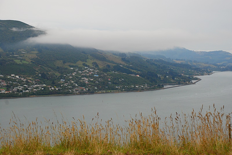 DSC_0179.JPG