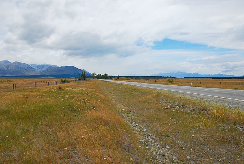 DSC_0992.JPG