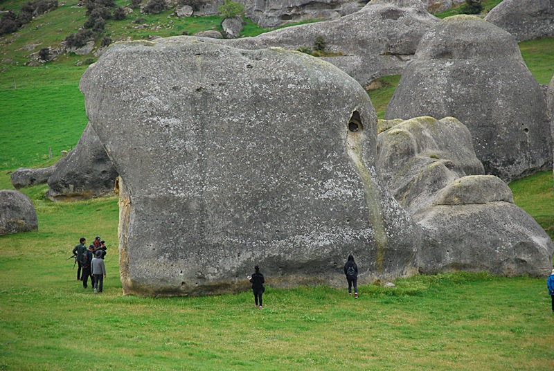 DSC_0117.JPG