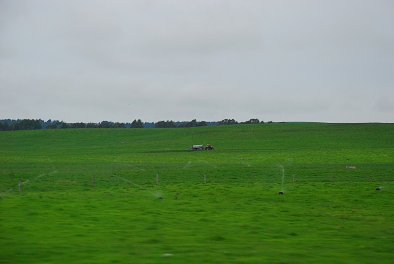 DSC_0054.JPG