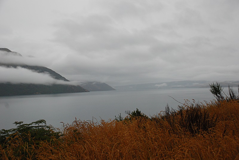 DSC_0955.JPG