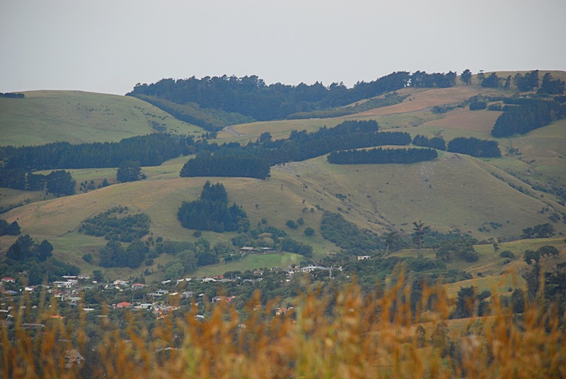 DSC_0182.JPG