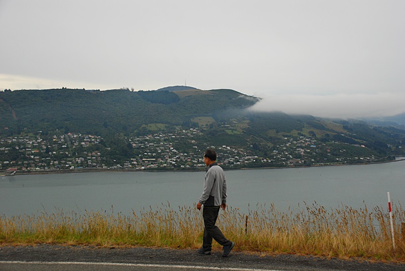 DSC_0185.JPG