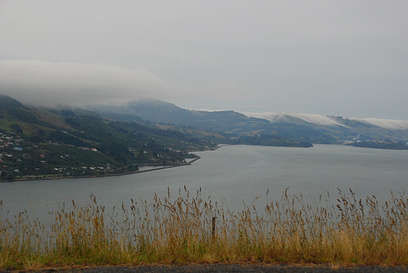 DSC_0174.JPG