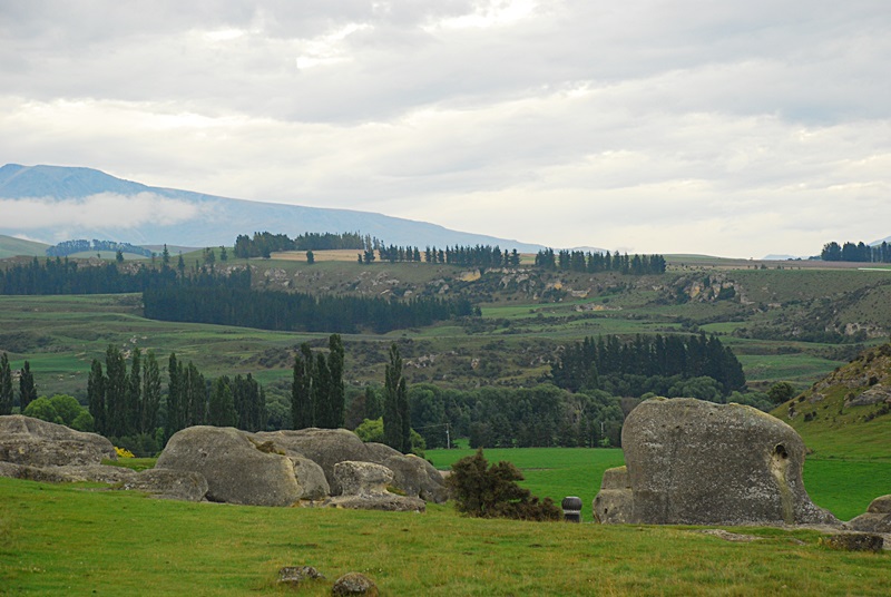 DSC_0074.JPG