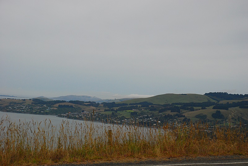 DSC_0176.JPG