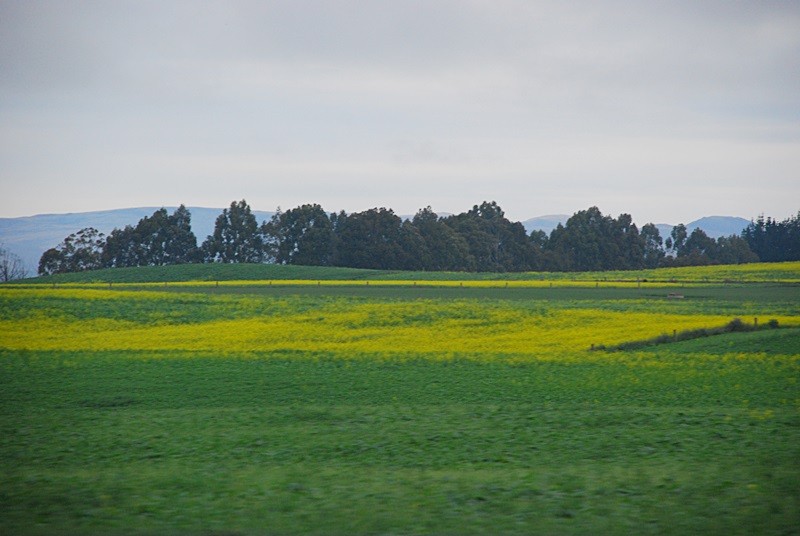 DSC_0150.JPG
