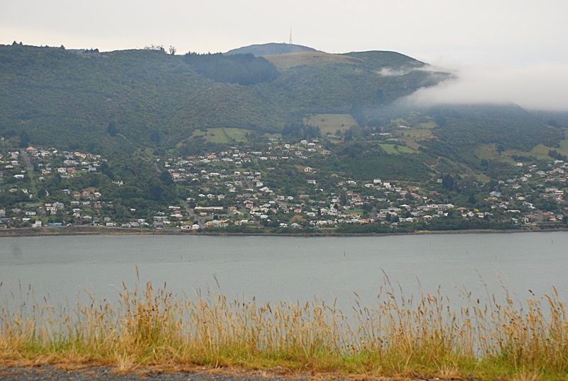 DSC_0178.JPG
