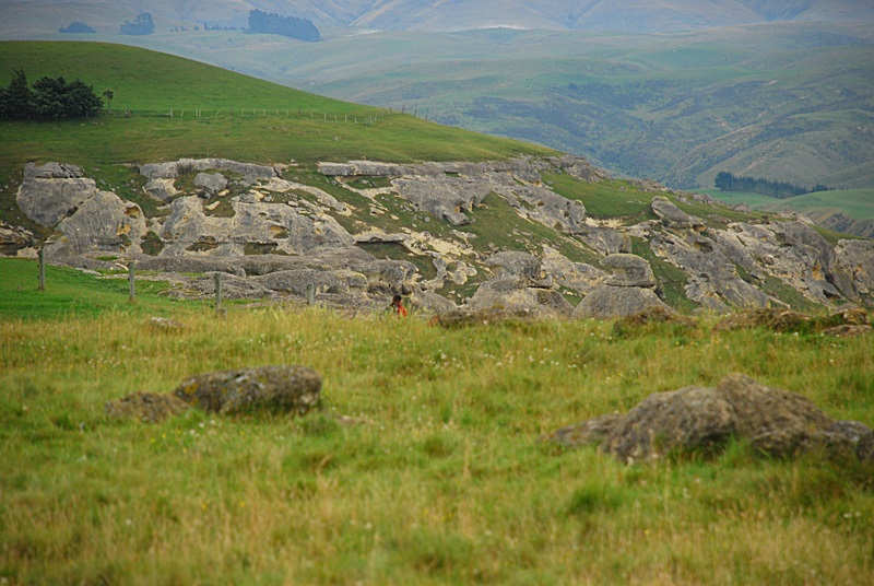 DSC_0063.JPG