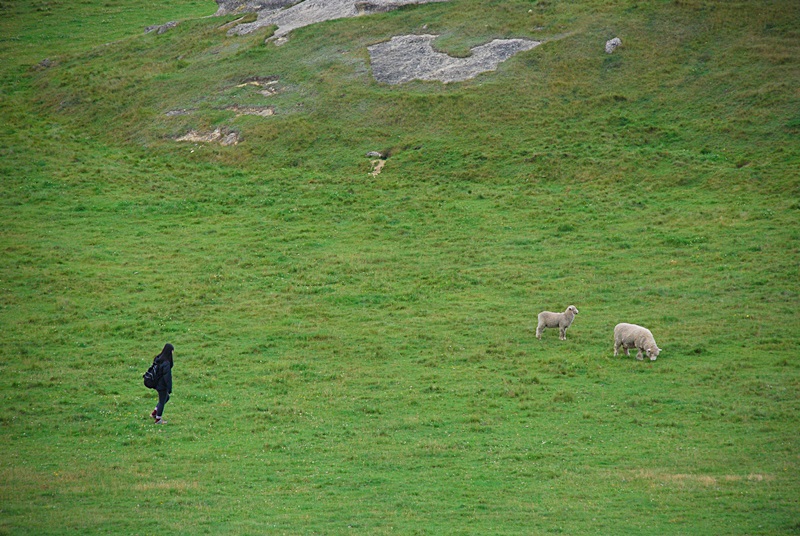 DSC_0102.JPG