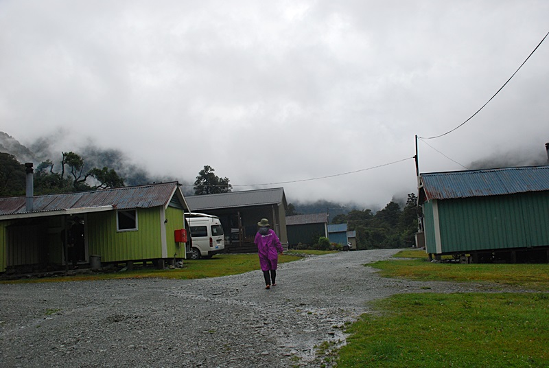 DSC_0803.JPG
