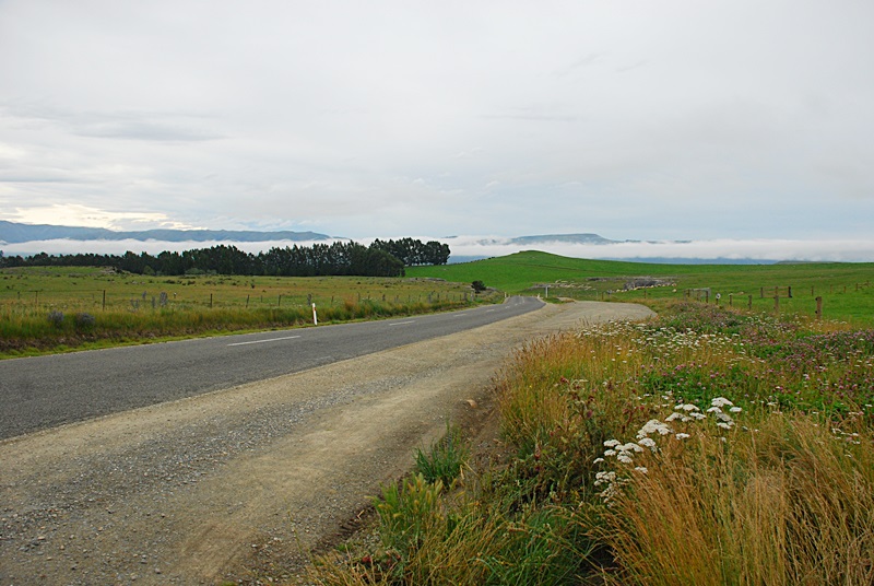 DSC_0061.JPG