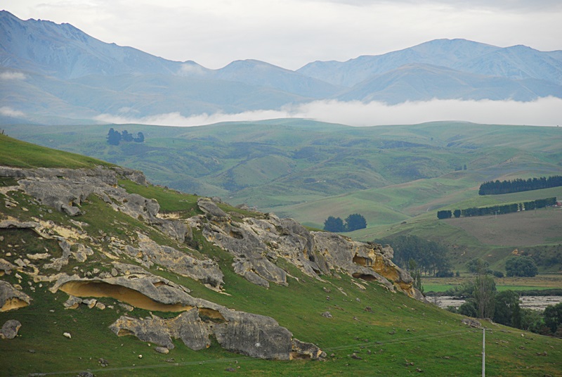 DSC_0110.JPG