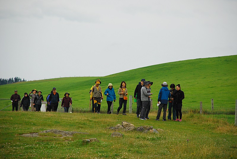 DSC_0080.JPG