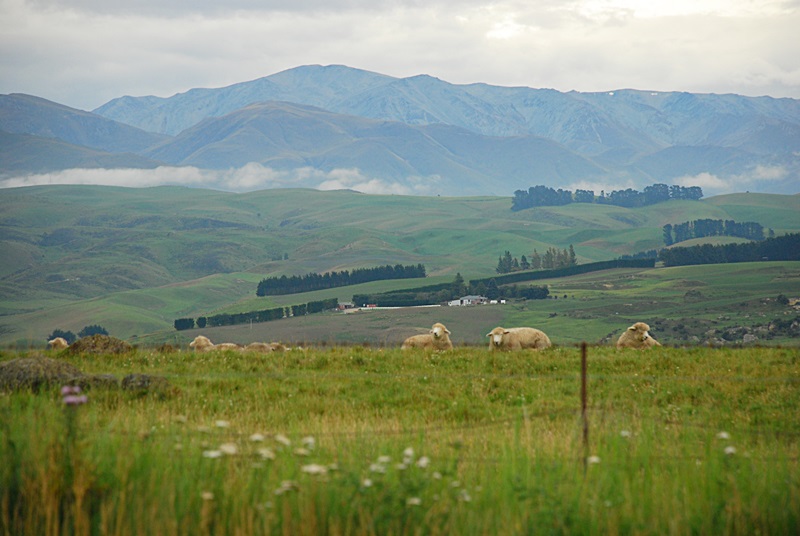 DSC_0062.JPG