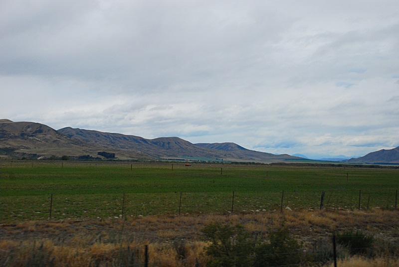 DSC_0987.JPG