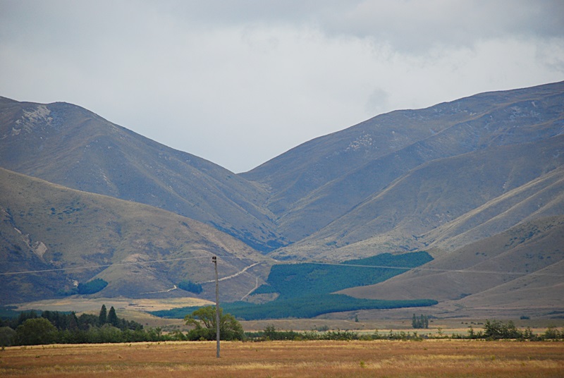 DSC_0998.JPG