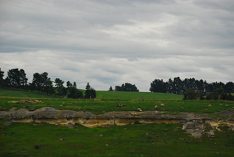 DSC_0104.JPG