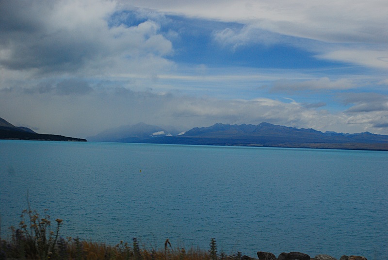 DSC_1003.JPG