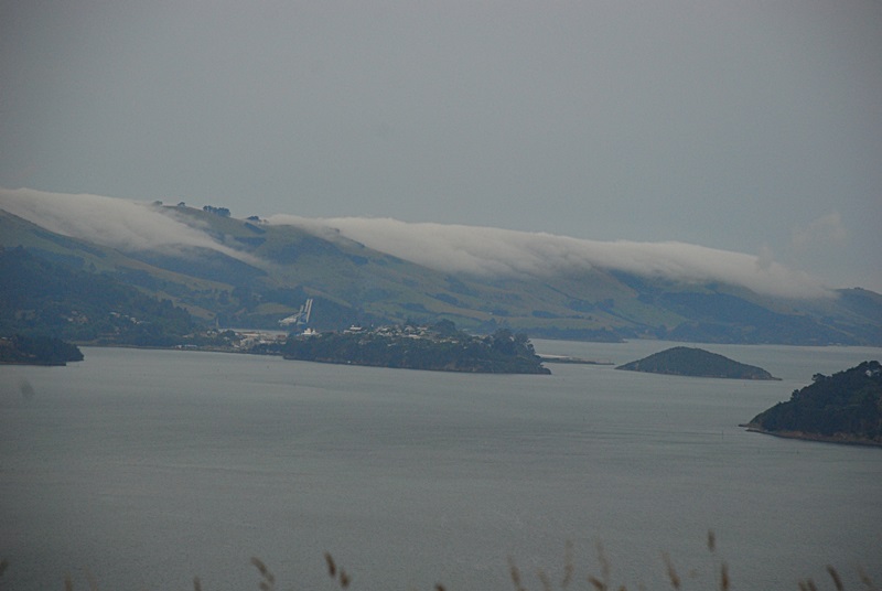DSC_0175.JPG
