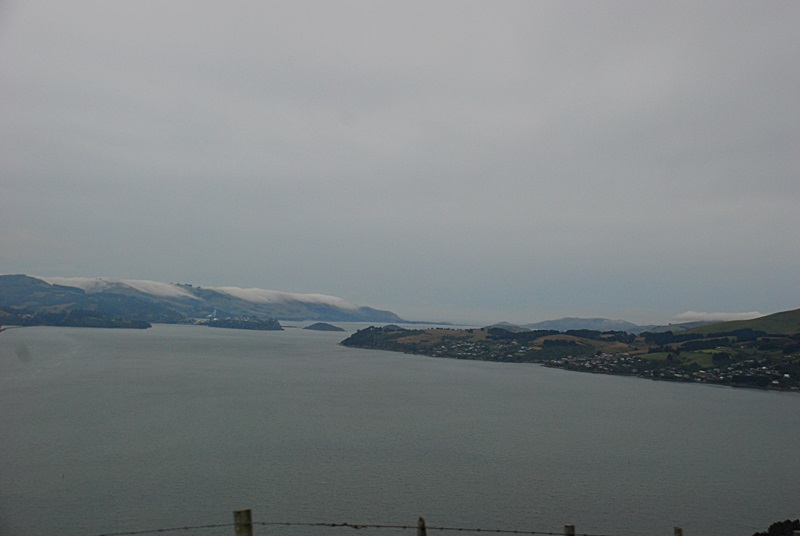 DSC_0173.JPG