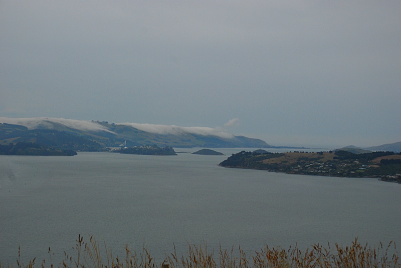 DSC_0186.JPG