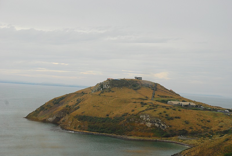 DSC_0191.JPG