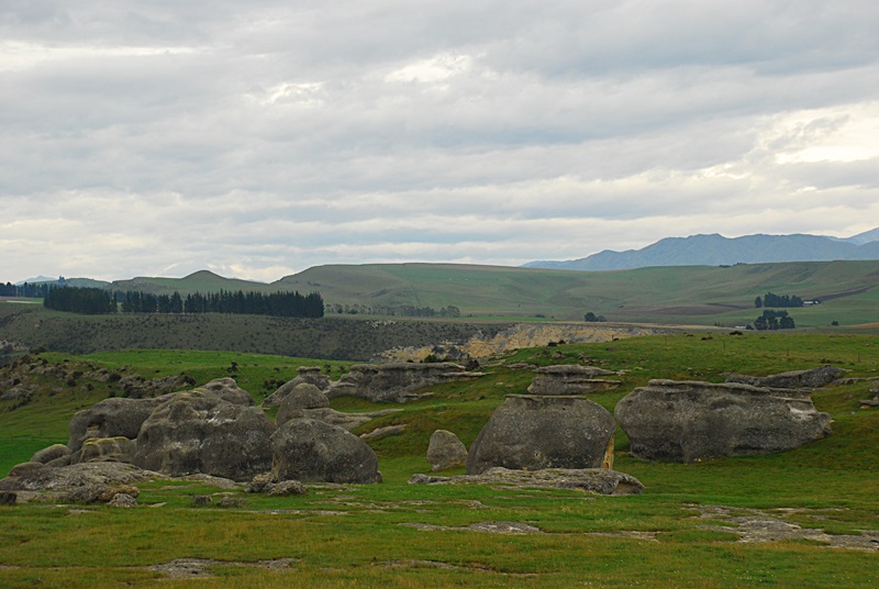 DSC_0073.JPG