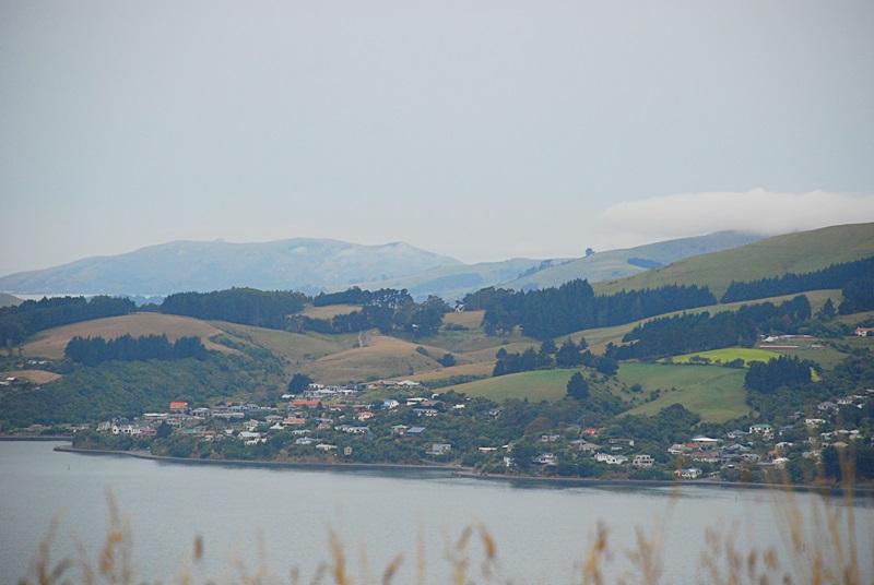 DSC_0181.JPG