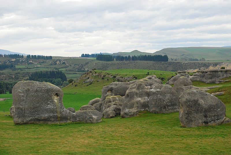 DSC_0075.JPG