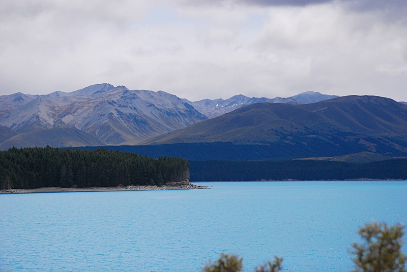 DSC_1006.JPG