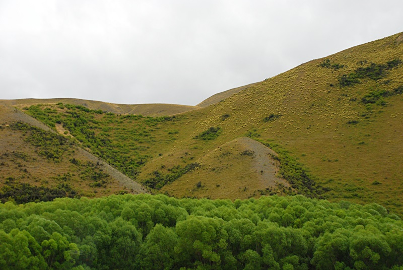 DSC_0985.JPG