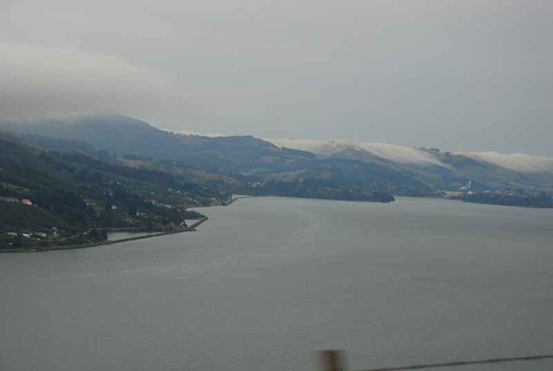 DSC_0169.JPG