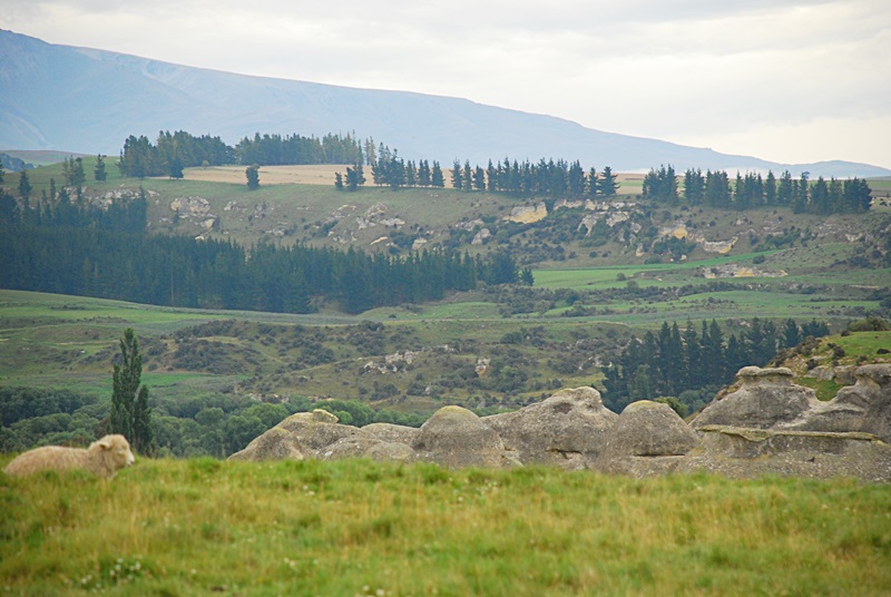 DSC_0065.JPG