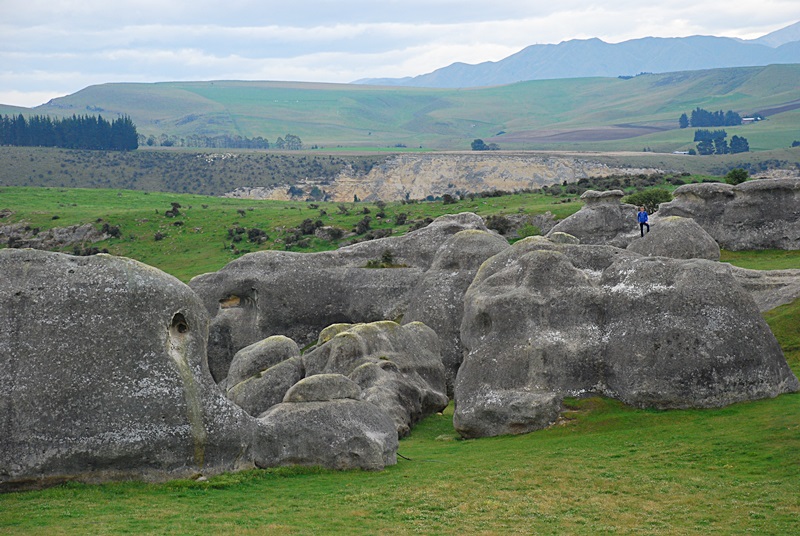 DSC_0095.JPG