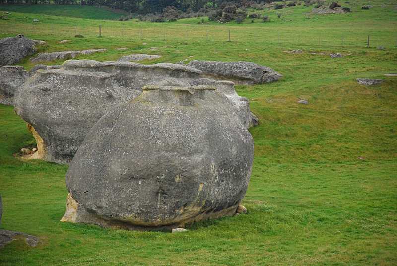 DSC_0116.JPG