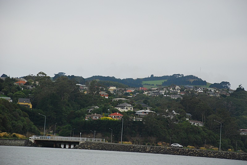DSC_0167.JPG
