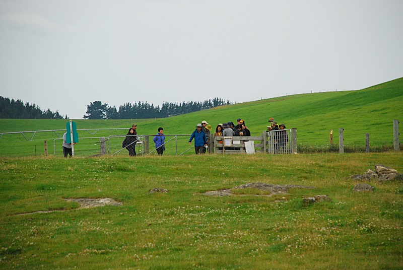 DSC_0077.JPG